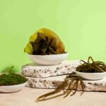 Does Sea Moss Give You Energy