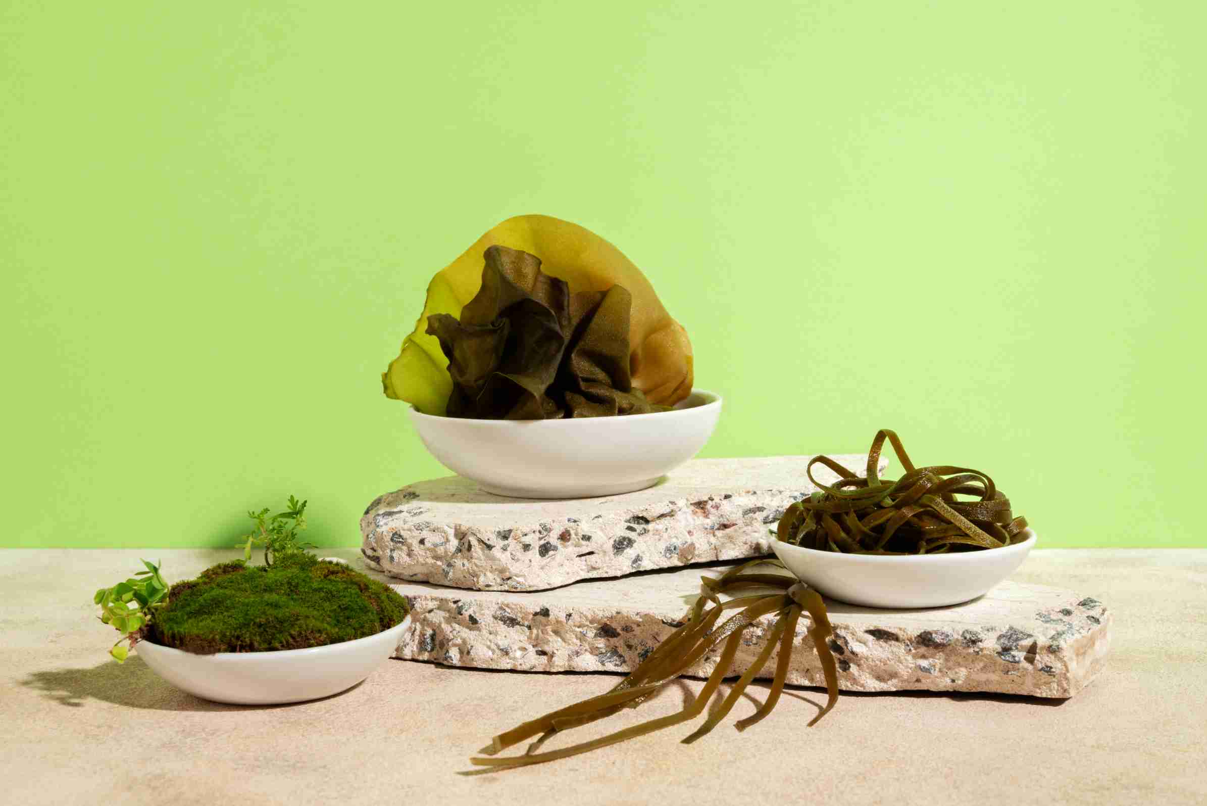 Does Sea Moss Give You Energy