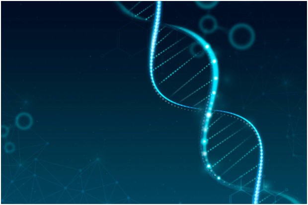 Genetics