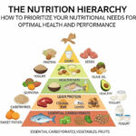 Nutrition Hierarchy