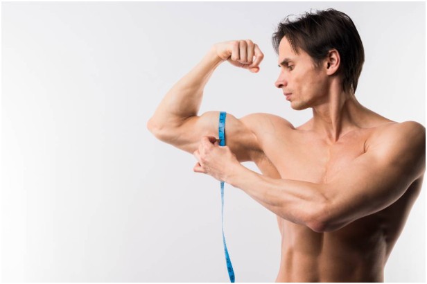 Understanding Muscle Growth Basics