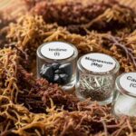 What Are the 92 Minerals in Sea Moss
