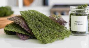 Where to Buy Sea Moss Online - Reliable Sources
