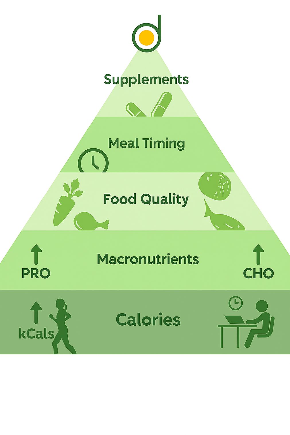 nutrition hieraarchy, recommended proportions of different food components for a healthy diet