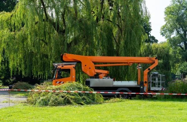 The Essential Vegetation Management Equipment for Pristine Landscapes