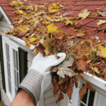 Essential Seasonal Home Maintenance Tips for Homeowners