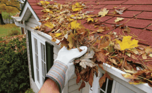 Essential Seasonal Home Maintenance Tips for Homeowners