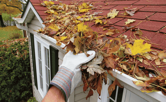 Essential Seasonal Home Maintenance Tips for Homeowners