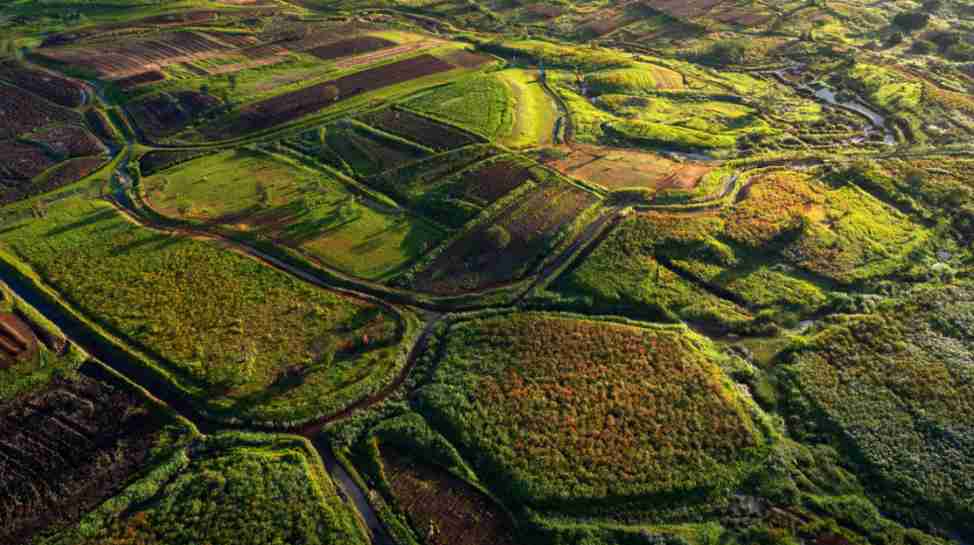 Mastering Land Management