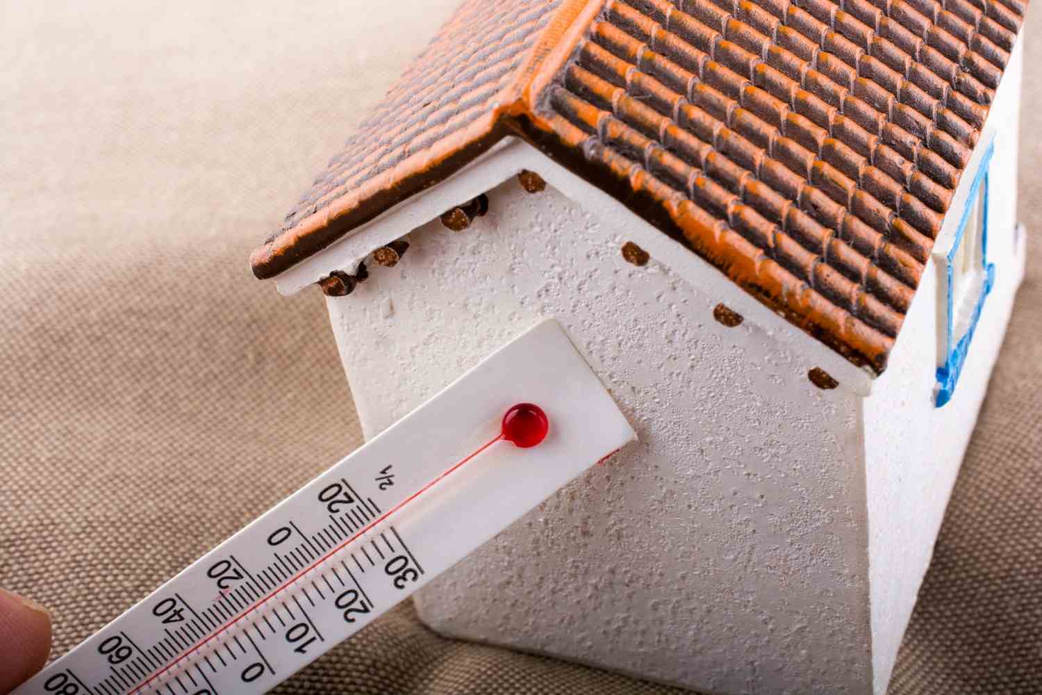 Your Home Feels Noisy Inside