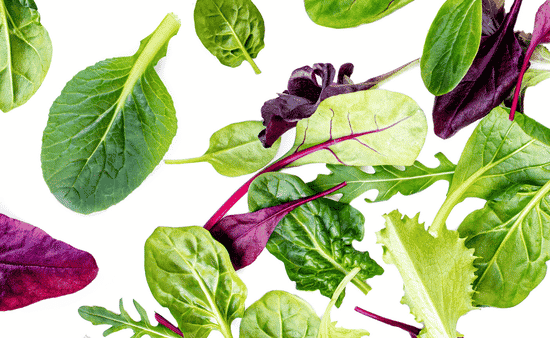 The Foundation of a Fast Harvest Leafy Greens