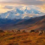 From Glaciers to Wildlife What to See in Alaska