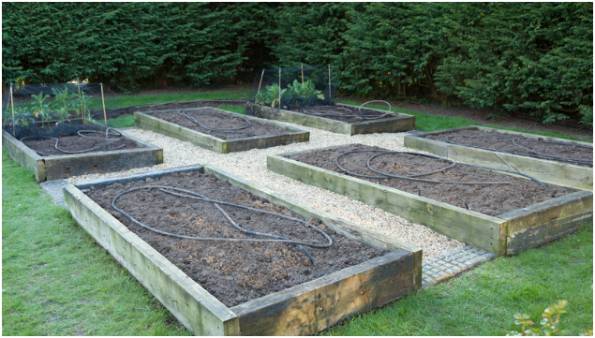 Prepare and Improve Your Soil