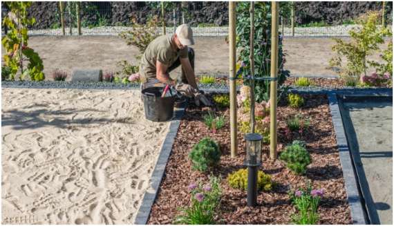 Prepare for Pest and Weather Challenges